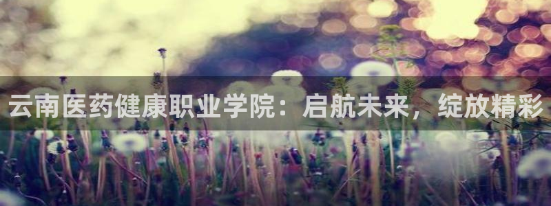九游会倒闭吗?：云南 