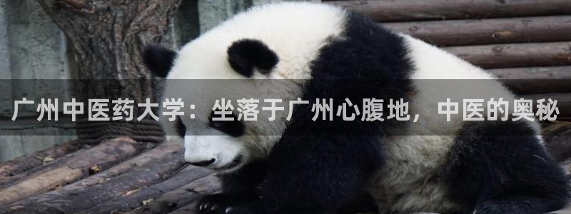 九游会首页进入