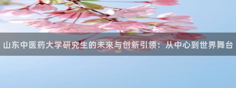 九游会视讯网站：山东
