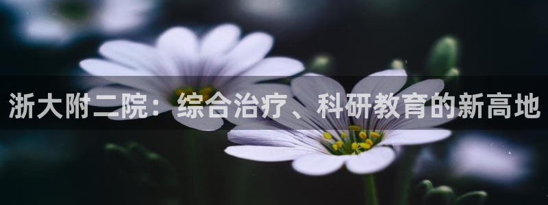 九游会ag官方网站