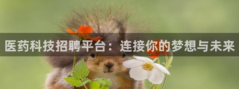 九游会是什么平台