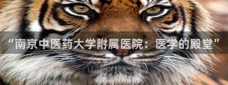 九游会官网下载最新版