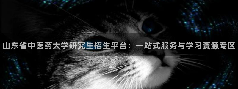 九游会真人第一品牌游戏合营