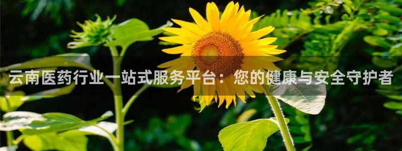 ag老队友