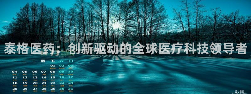 J9九游会旧版