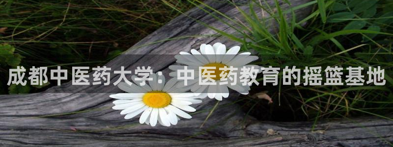 j9九游会不出款
