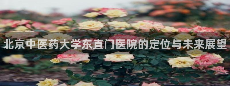 九游会是干嘛的软件