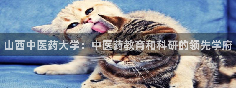 九游会网址多少