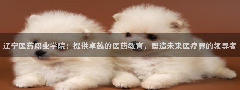 j9九游会网址