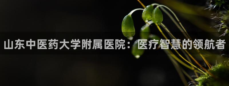 九游会亚洲唯一合作伙 