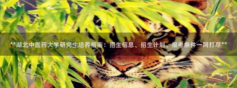 九游会官网登录首页