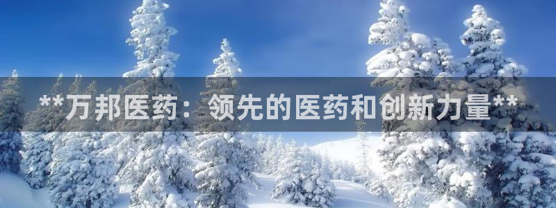 九游会登录网站吗