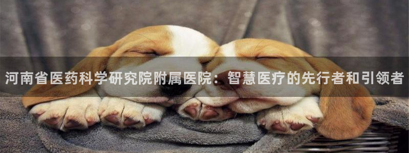 九游会集团币圈