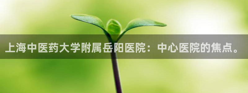 J9九游会试玩入口