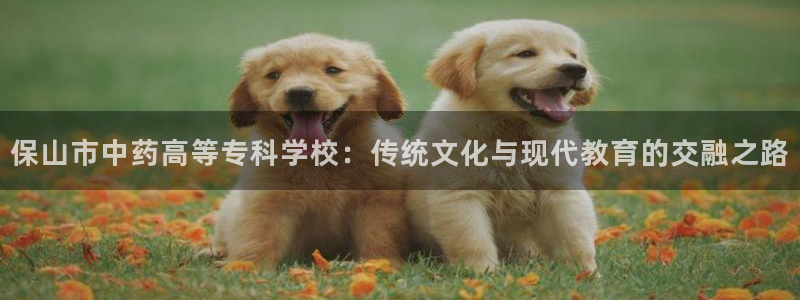 j9363九游会首页