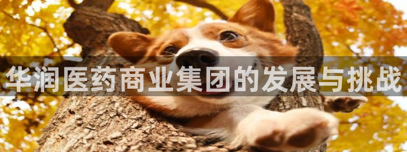 九游会app下载版官网正版安卓