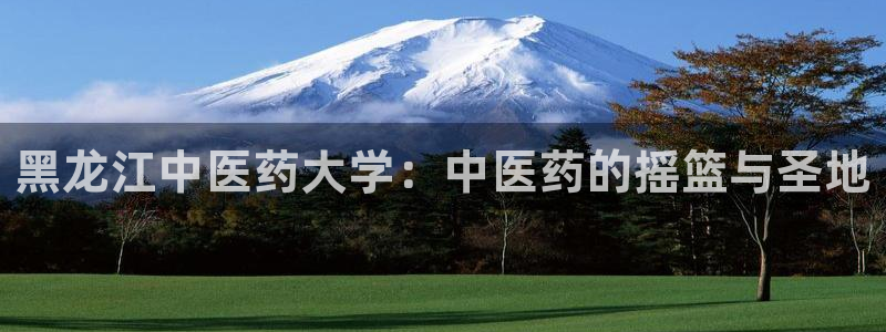 九游会集团正规吗：黑 