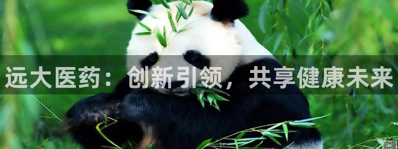 九游会AG下载手机端 