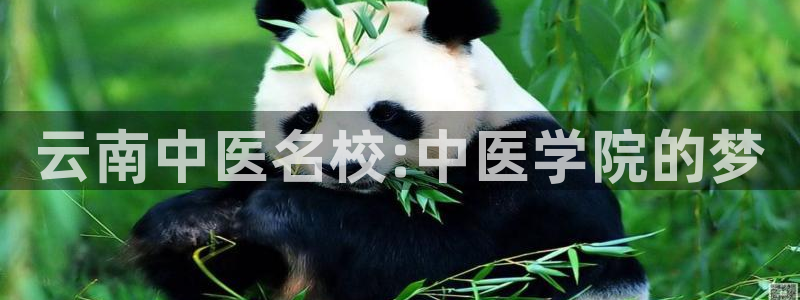 九游会官网下载不了吗