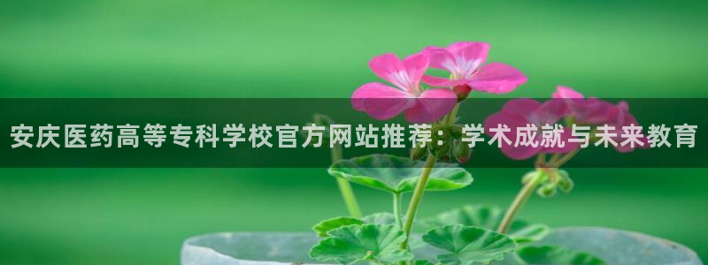 九游会集团国际：安庆