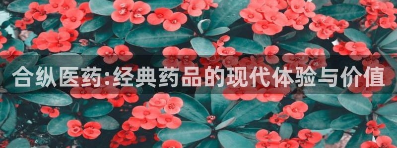 九游会ag官方平台：