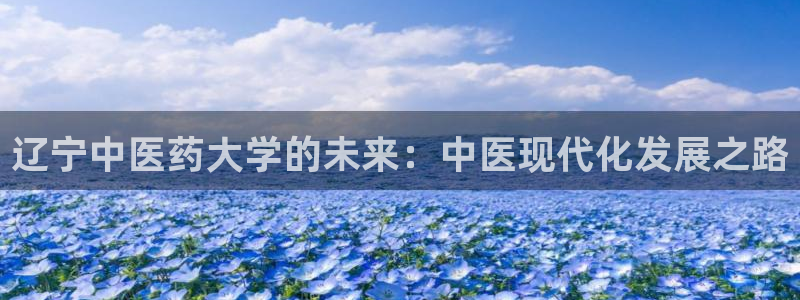 九游会ag官方网站：