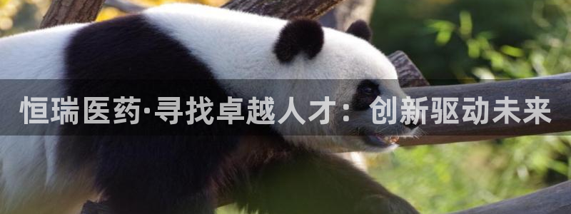 九游会第一真人视频游