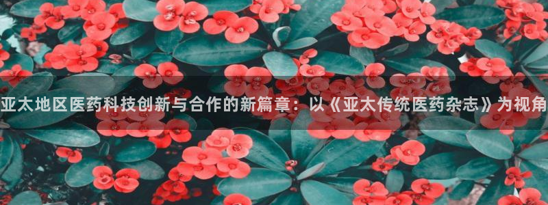 九游会j9官网登陆