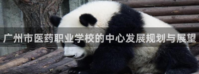 登陆九游会：广州市医