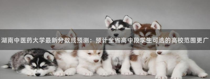 九游会游戏app