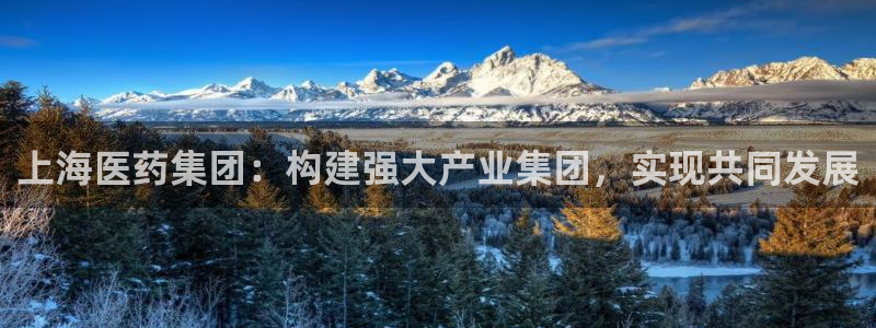 九游会登录网站吗：上