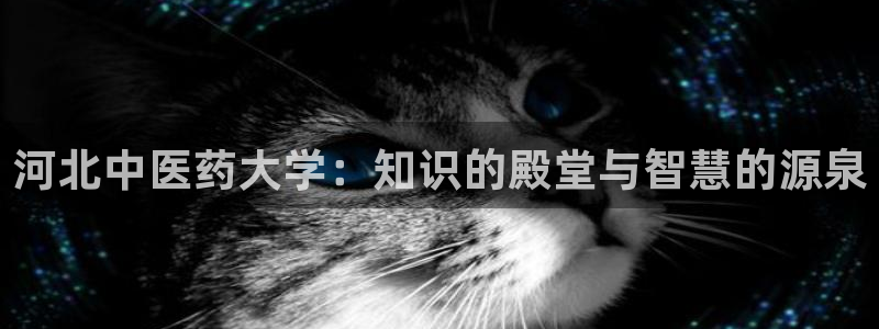 九游会是干嘛的软件
