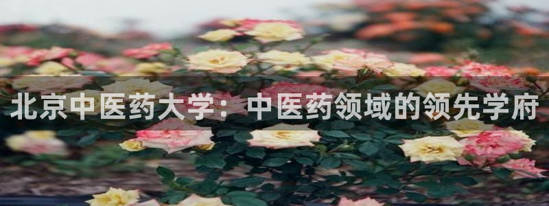 九游会集团货币：北京