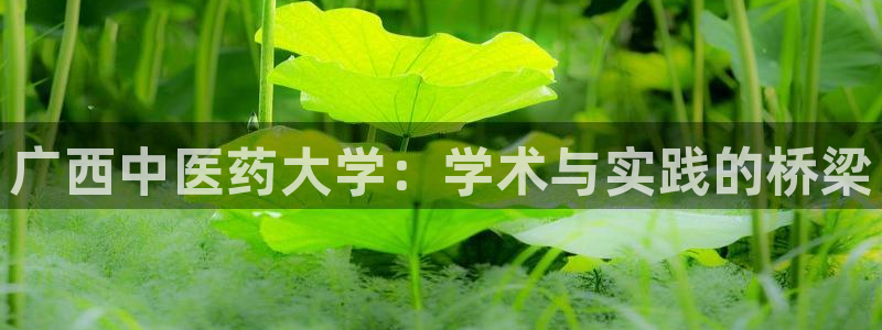 九游会集团菲律宾