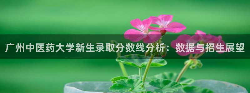 ag九游会登录网站