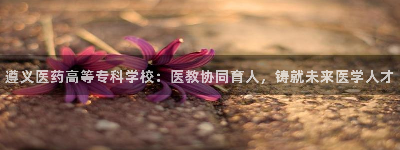 九游会登录网站吗知乎