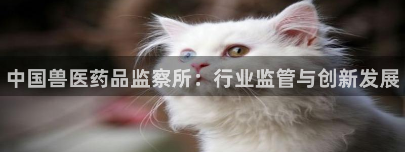 九游会j9官方登录入口