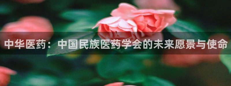 j9九游会app下载