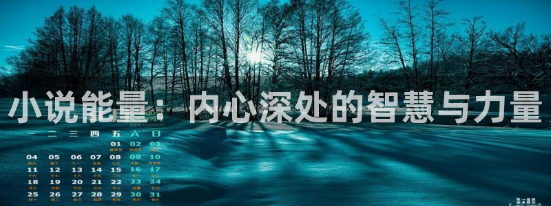 晚夜微雨问海棠小说免费观看：小说能量：内心深处的智慧与力量