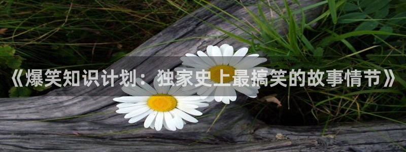 海棠小说 在线阅读：《爆笑知识计划：独家史上最搞笑的故事情节》