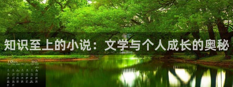高h海棠小说：知识至上的小说：文学与个人成长的奥秘